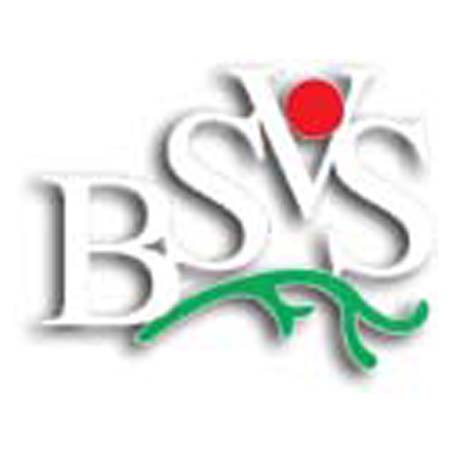 Bangladesh Society Of Vascular Surgeon